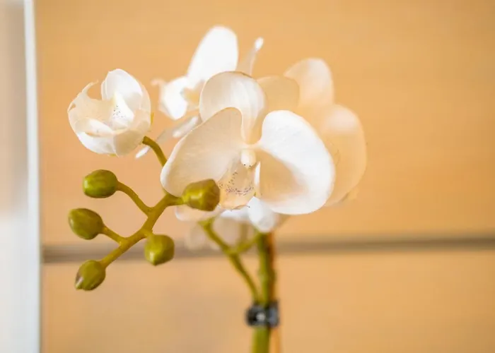 Myflat Club 218 D1-1 Wellness Apartamento Siófok